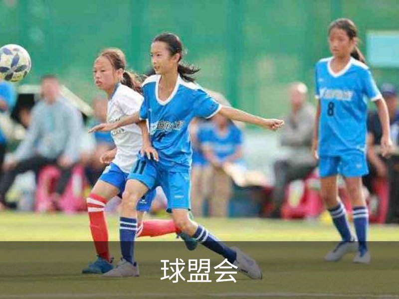 关于球盟会